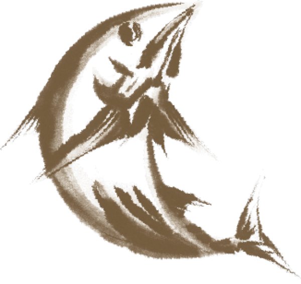 画像1: こし布 (1)